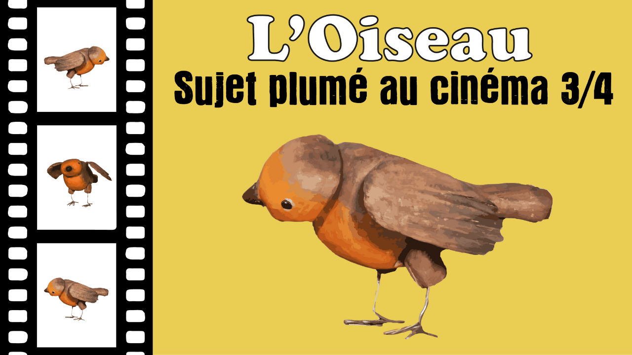 Les oiseaux : sujet plumé au cinéma 3/4