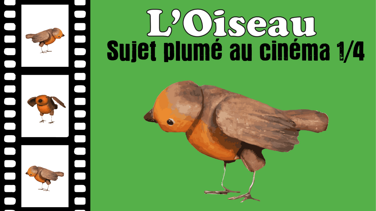 Les oiseaux : sujet plumé au cinéma 1/4