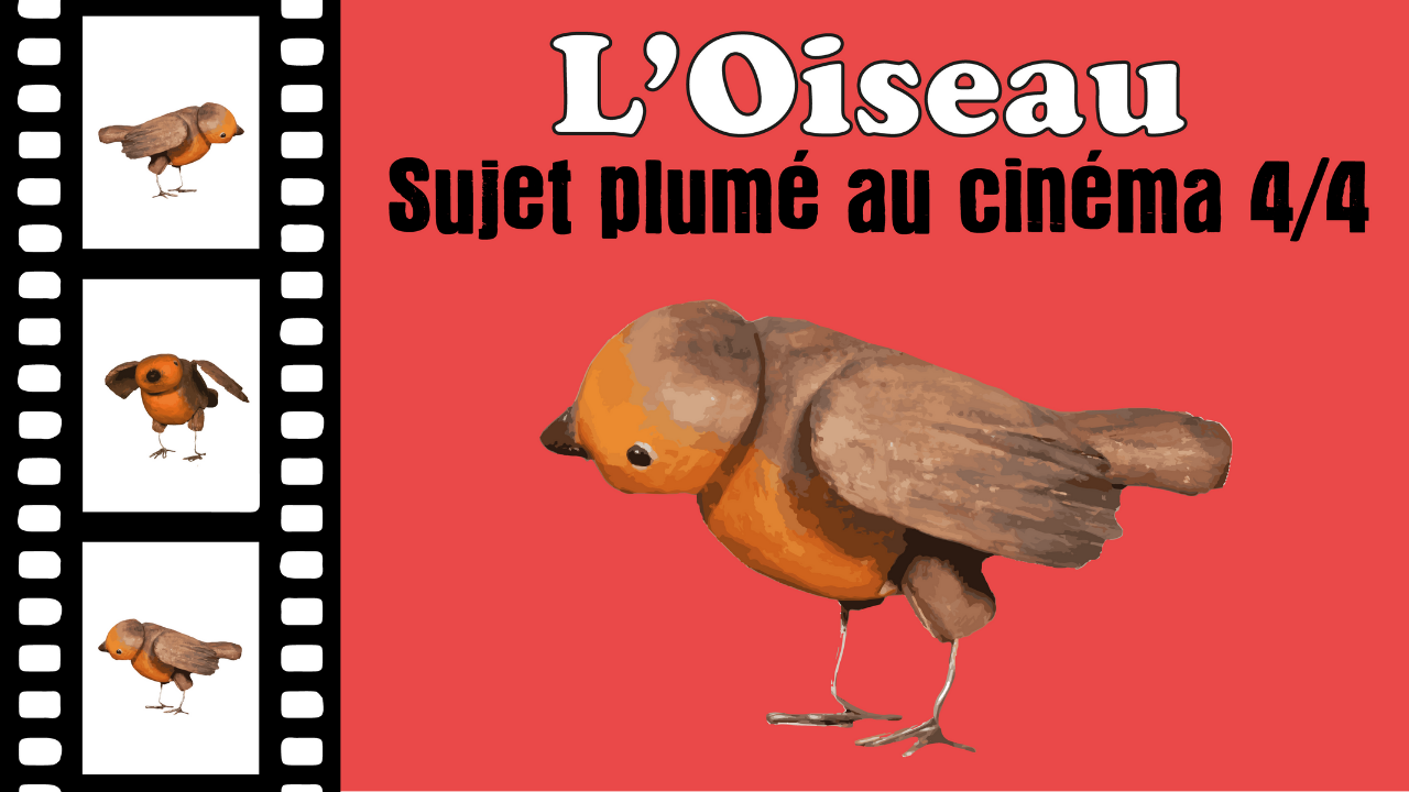 Les oiseaux : sujet plumé au cinéma 4/4